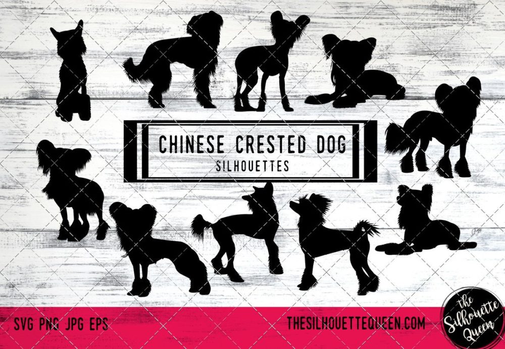 Download Chinese Crested Dog Svg Dog Svg Dog Monogram Svg Dog Svg Files Cricut Dog Svg Cut Files Dog Svg Image Dog Svg Design Svg Bundle Eps The Silhouette Queen PSD Mockup Templates