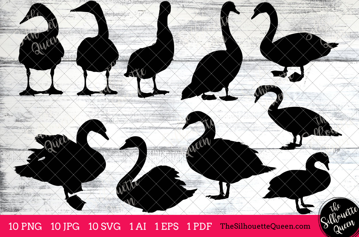 Download Swan Bird Svg Files Bundle Flying Bird Svg Sitting Bird Svg Silhouette Studio Cricut Design Space Svg Png Eps Pdf Vector Design The Silhouette Queen